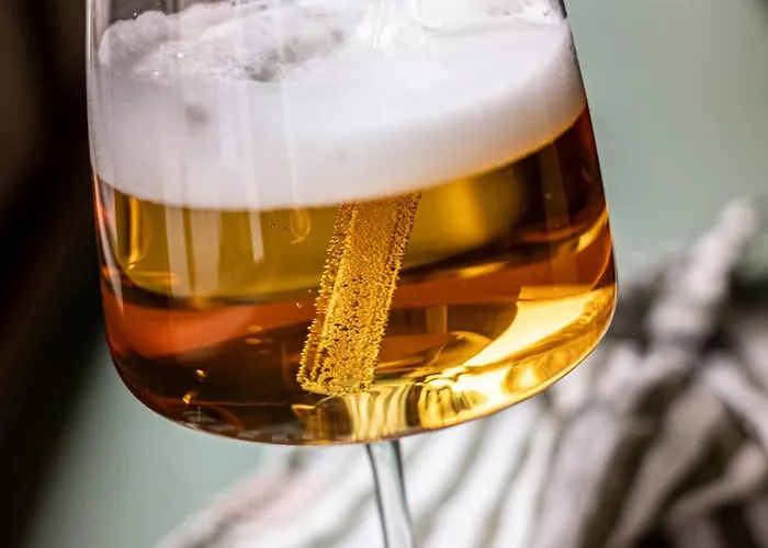 Отель Hotel Menge 