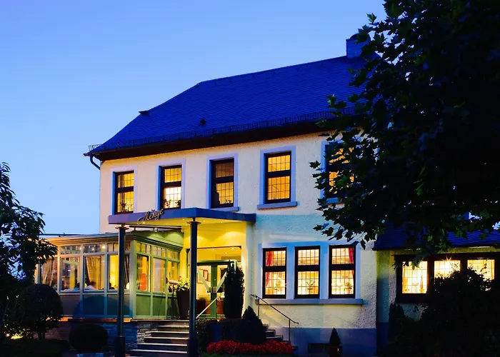 Отель Hotel Menge 