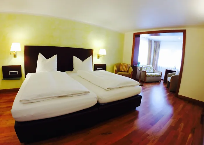 Отель Hotel Menge 