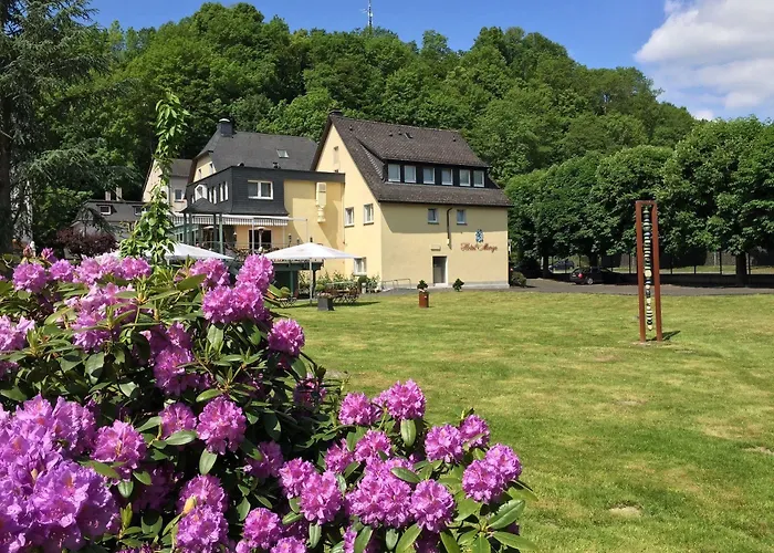 Отель Hotel Menge 